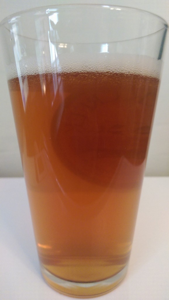 Fish Tale IPA pours an attractive amber with a low carbonation head.