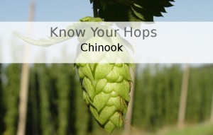 Chinook – Know Your Hops