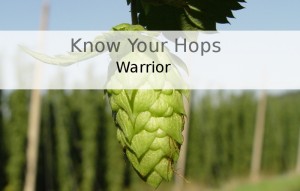 Warrior – Know Your Hops