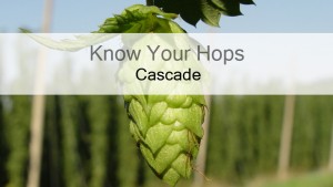 Cascade – Know Your Hops