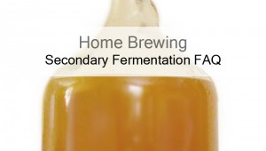 All About Secondary Fermentation – The Two Stage Fermentation FAQ